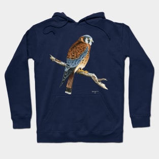 Kestrel Hoodie